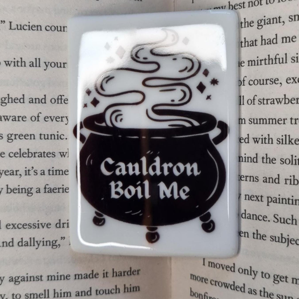 Bookish fridge magnets UK featuring a cauldron with steam and the text Cauldron Boil Me