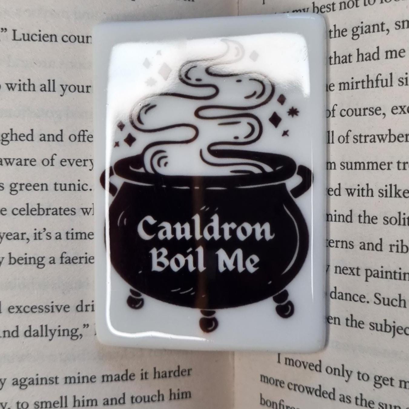 Bookish fridge magnets UK featuring a cauldron with steam and the text Cauldron Boil Me