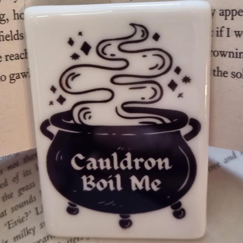 Bookish fridge magnets UK featuring a black cauldron with steam and text Cauldron Boil Me