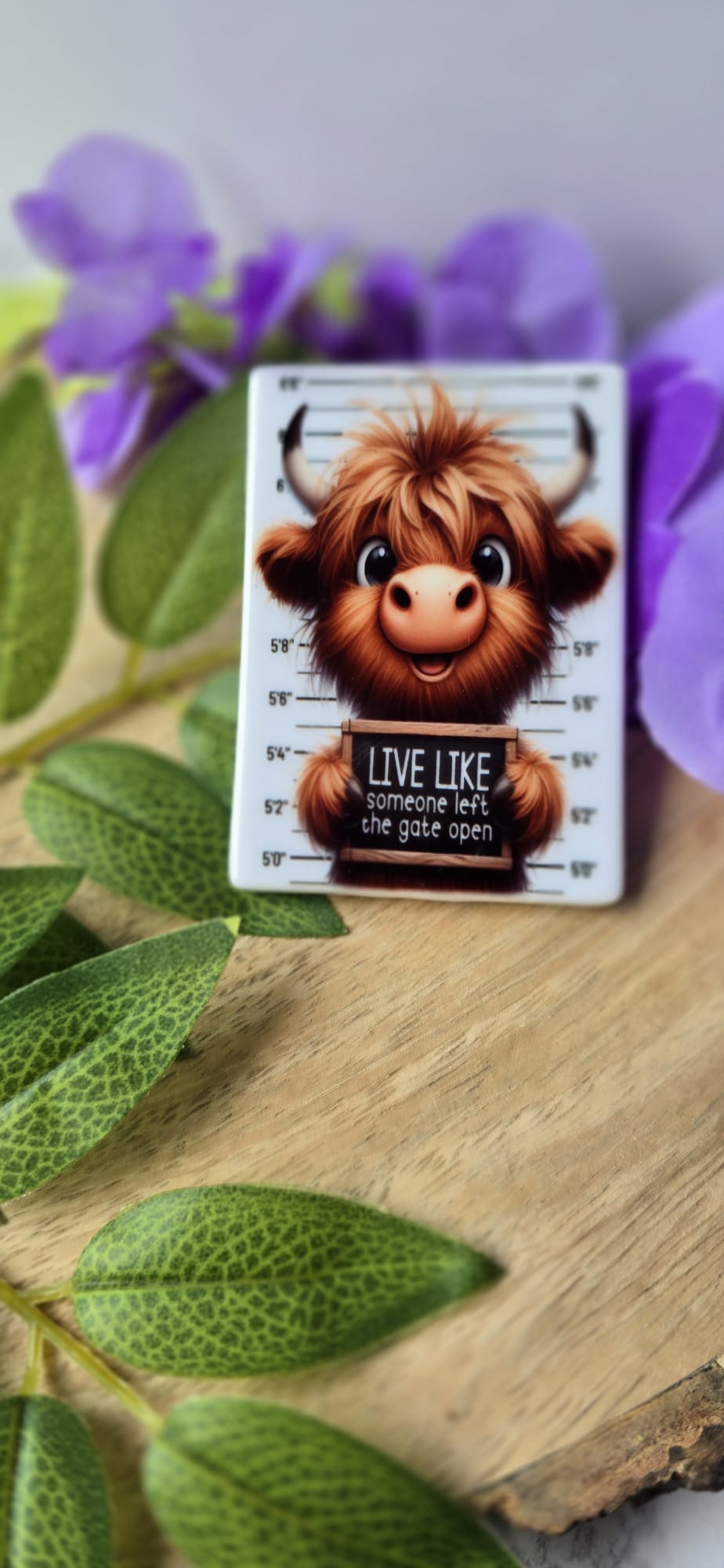 Cute highland cow fridge magnet with funny mugshot design and motivational quote on wooden surface