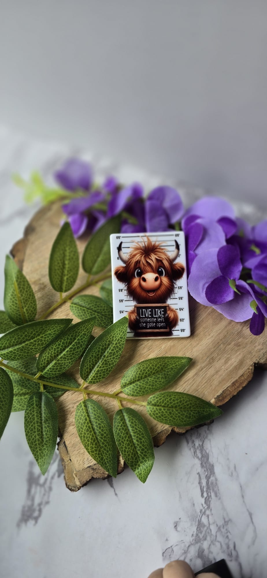 Highland cow fridge magnet with cute cartoon design placed on wooden board with green leaves and purple flowers