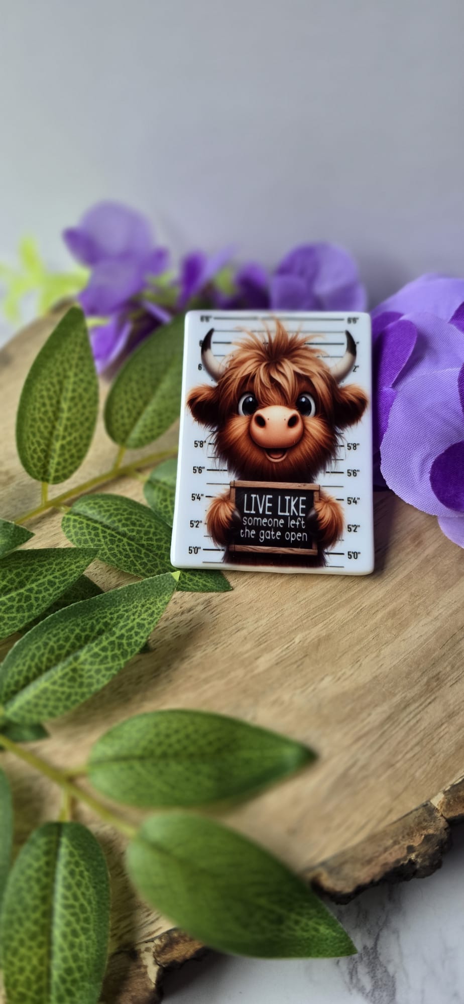 Cute highland cow fridge magnet with funny quote on wooden board and purple flowers background